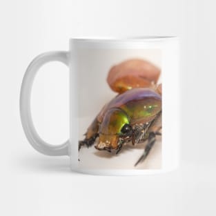 Summer Christmas Beetle Mug